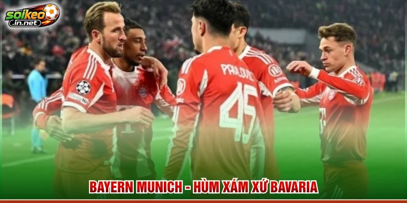 Bayern Munich - Hùm xám xứ Bavaria