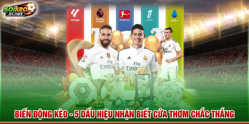 Biến Động Kèo - 5 Dấu Hiệu Nhận Biết Cửa Thơm Chắc Thắng