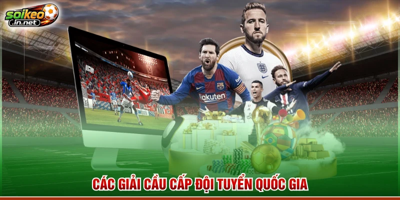 Các giải cầu cấp đội tuyển quốc gia