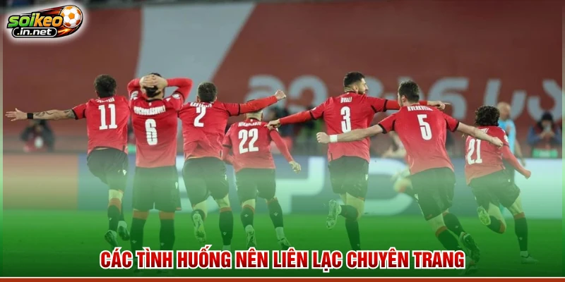 Các tình huống nên liên lạc chuyên trang