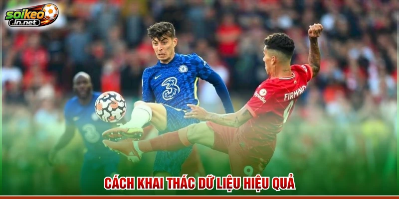 Cách khai thác dữ liệu hiệu quả