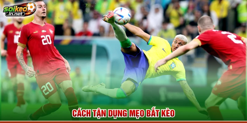 Cách tận dụng mẹo bắt kèo