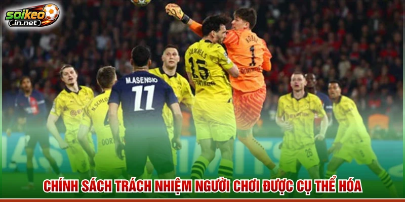 Chính sách trách nhiệm người chơi được cụ thể hóa