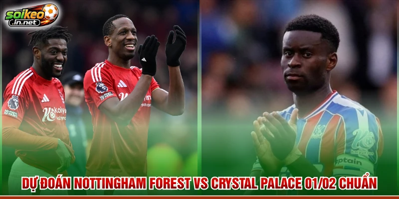 Dự Đoán Nottingham Forest Vs Crystal Palace 01/02 Chuẩn