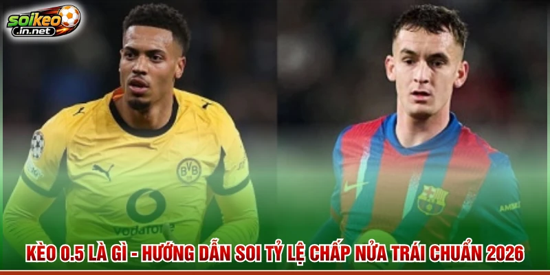 Tính thưởng trong kèo 0.5 là gì