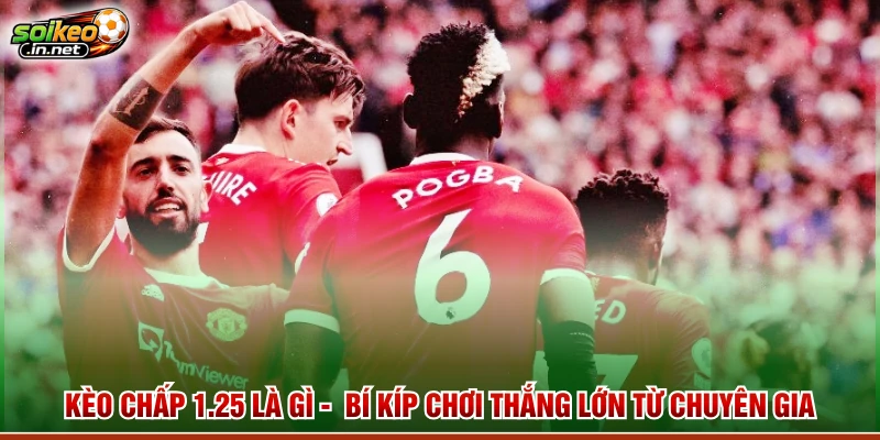 Kèo Chấp 1.25 Là Gì - Bí Kíp Chơi Thắng Lớn Từ Chuyên Gia