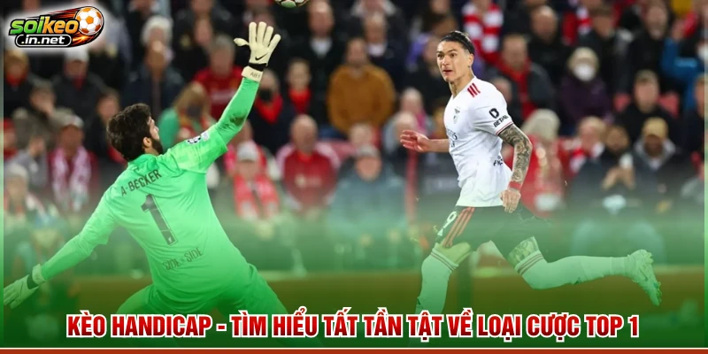 Kèo Handicap - Tìm Hiểu Tất Tần Tật Về Loại Cược Top 1