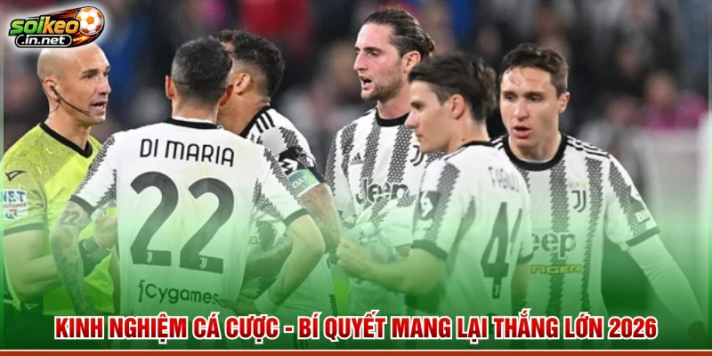 Kinh Nghiệm Cá Cược - Bí Quyết Mang Lại Thắng Lớn 2026