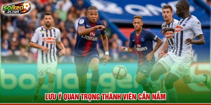 Lưu ý quan trọng thành viên cần nắm