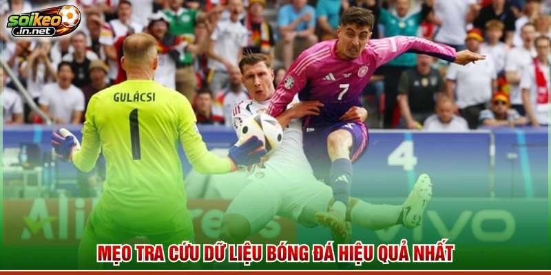 Mẹo tra cứu dữ liệu bóng đá hiệu quả nhất