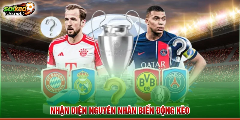 Nhận diện nguyên nhân biến động kèo