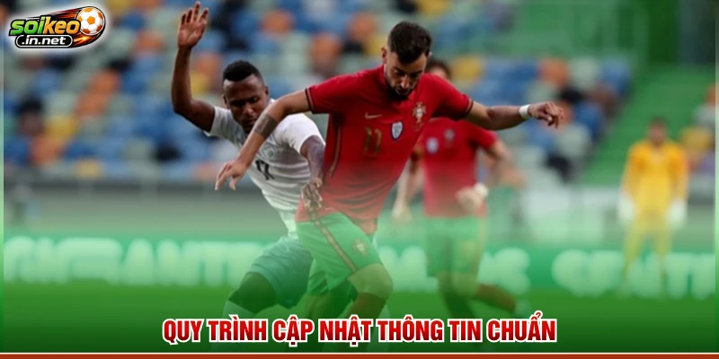 Quy trình cập nhật thông tin chuẩn