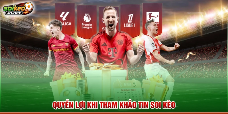 Quyền lợi khi tham khảo tin soi kèo