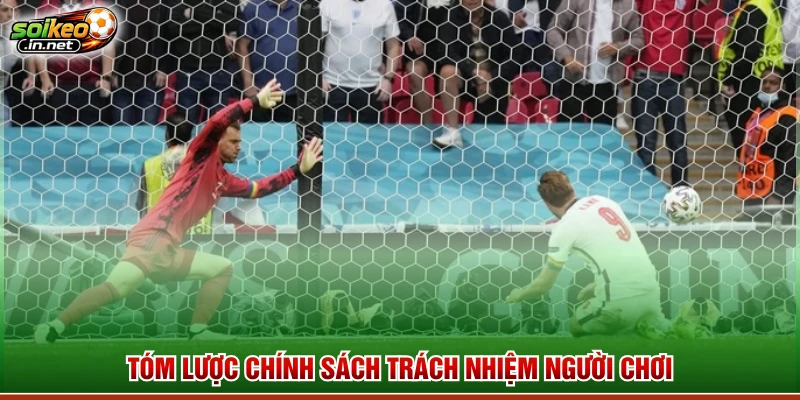 Tóm lược chính sách trách nhiệm người chơi