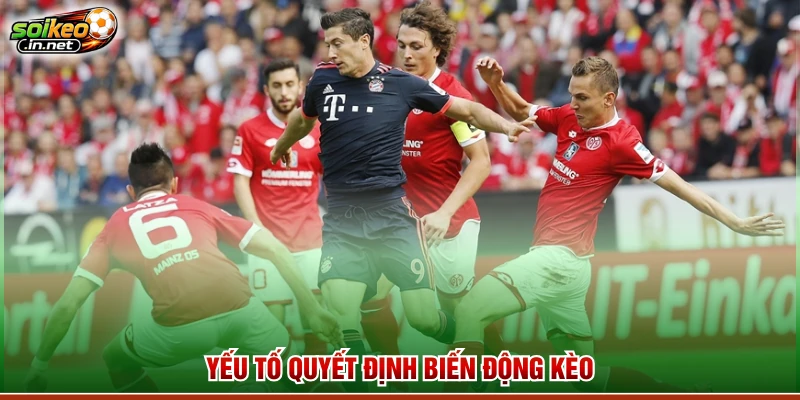 Yếu tố quyết định biến động kèo