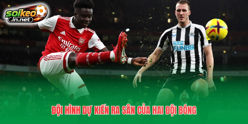 Đội hình dự kiến ra sân của hai đội bóng