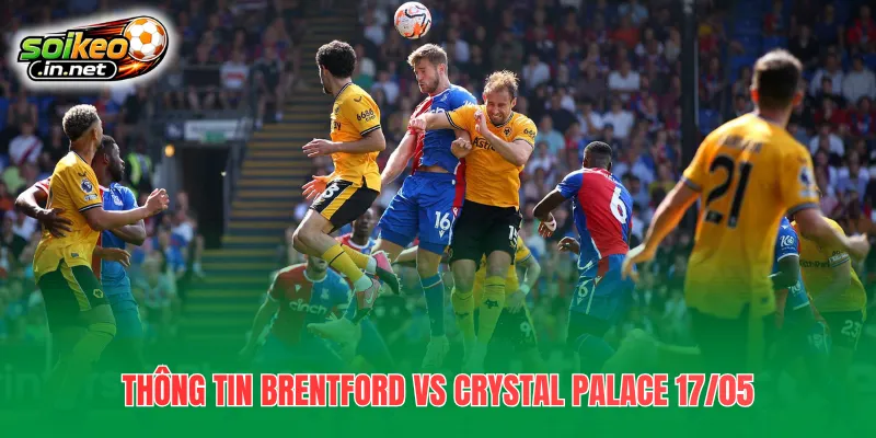 Thông tin Brentford vs Crystal Palace 17/05